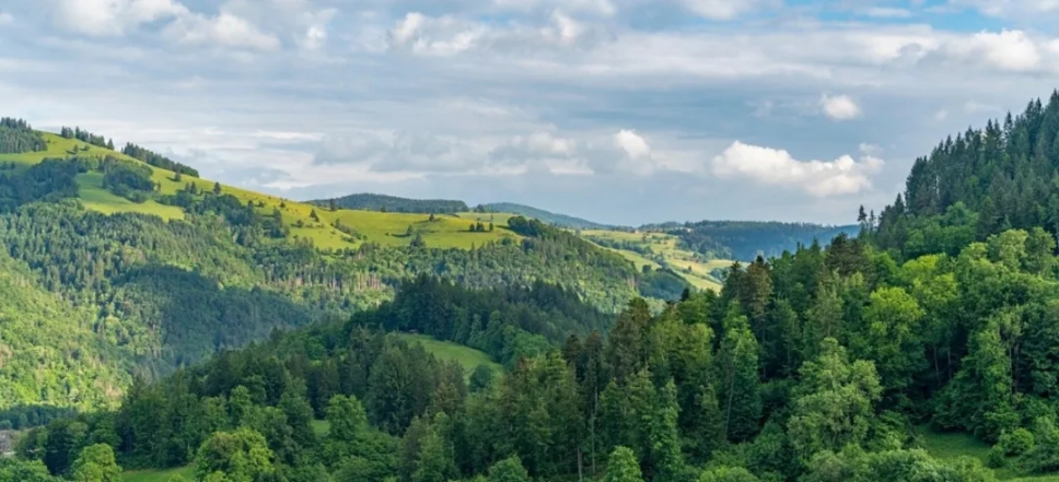 1757997487818296.png 图片.png